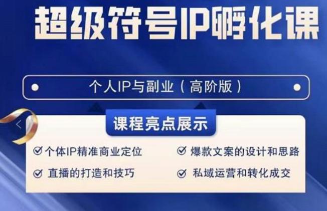 超级符号IP孵化高阶课，建立流量思维底层逻辑，打造属于自己IP（51节课）-Xiaobei云