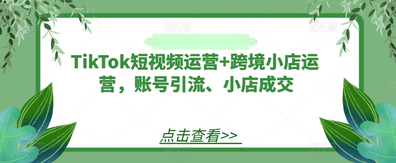 TikTok短视频运营+跨境小店运营，账号引流、小店成交-Xiaobei云