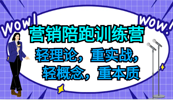 营销陪跑训练营，轻理论，重实战，轻概念，重本质，适合中小企业和初创企业的老板-Xiaobei云