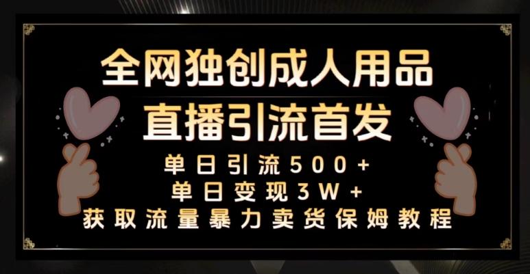 全网独创真人主播+无人直播单日引流500+，橙人用品暴力卖货单日变现3W+保姆似教学2.0【揭秘】-Xiaobei云
