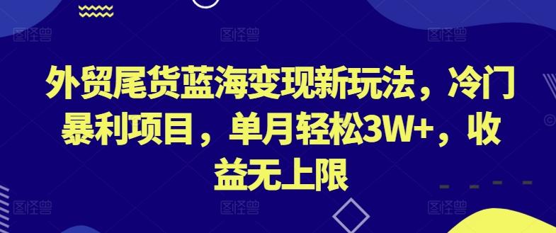 外贸尾货蓝海变现新玩法，冷门暴利项目，单月轻松3W+，收益无上限【揭秘】-Xiaobei云