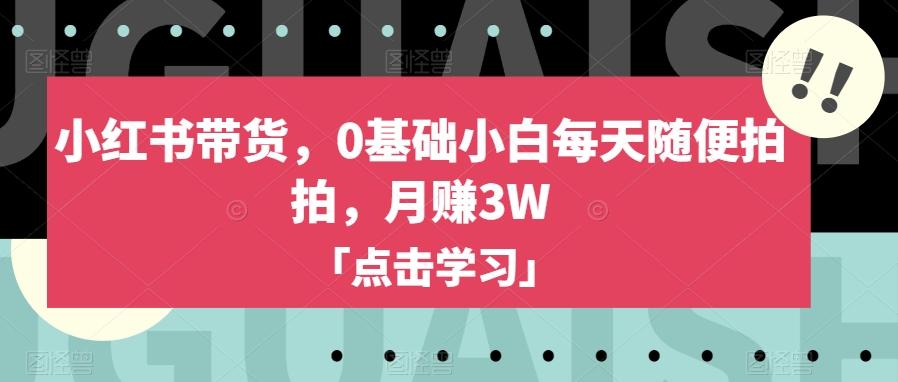 小红书带货，0基础小白每天随便拍拍，月赚3W【揭秘】-Xiaobei云