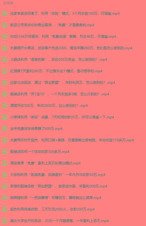 图片[5]-(9607期)真实有效391套商业模式，年入几十到几百万案例解析(电子书+视频+图文)-Xiaobei云