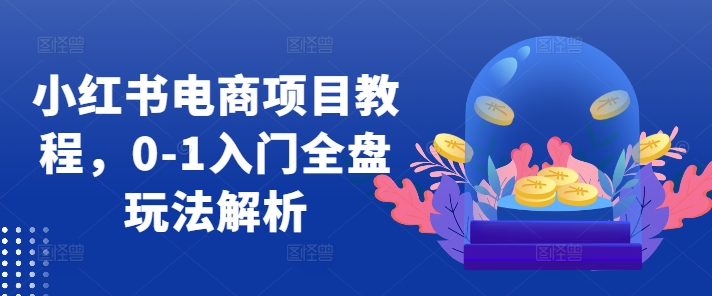 小红书电商项目教程，0-1入门全盘玩法解析-Xiaobei云