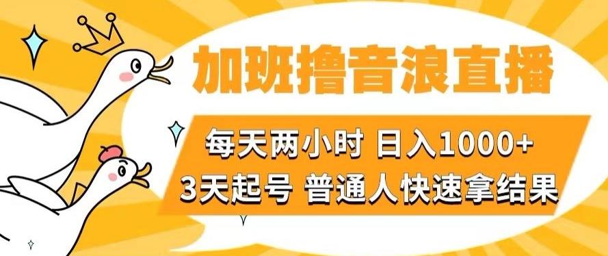 加班撸音浪直播，每天两小时，日入1000+，直播话术才3句，3天起号，普通人快速拿结果【揭秘】-Xiaobei云