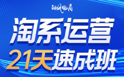 淘系运营21天速成班(更新9月)-Xiaobei云