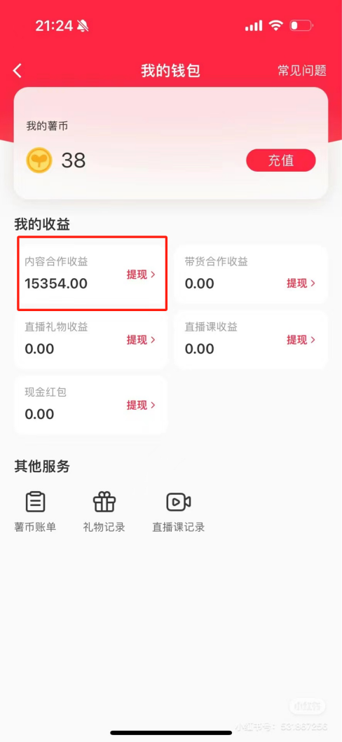 热门评论引爆小红书流量，作品制作简单，广告接到手软，月入过万不是梦-Xiaobei云