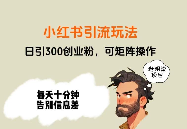 靠小红书视频日印300粉，两分钟一个视频轻松矩阵-Xiaobei云