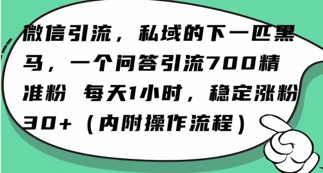 怎么搞精准创业粉？微信新赛道，每天一小时，利用Ai一个问答日引100精准粉-Xiaobei云