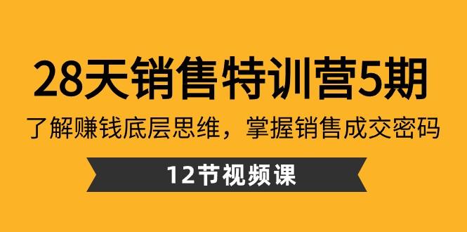28天销售特训营5期：了解赚钱底层思维，掌握销售成交密码（12节课）-Xiaobei云