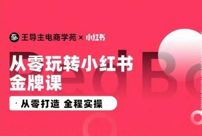王导主·小红书电商运营实操课，​从零打造  全程实操-Xiaobei云