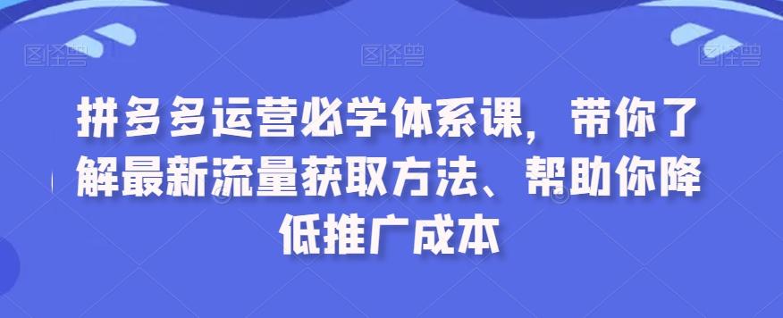 拼多多运营必学体系课，带你了解最新流量获取方法、帮助你降低推广成本-Xiaobei云