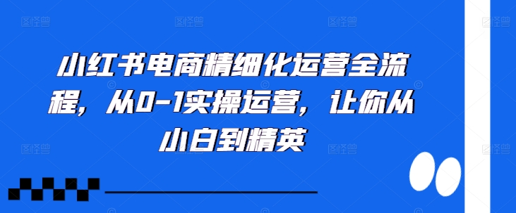 小红书电商精细化运营全流程，从0-1实操运营，让你从小白到精英-Xiaobei云