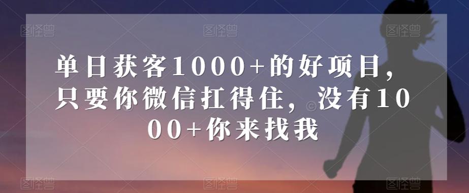 单日获客1000+的好项目，只要你微信扛得住，没有1000+你来找我【揭秘】-Xiaobei云