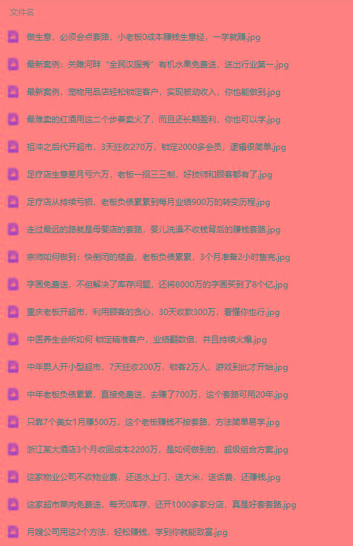 图片[3]-(9607期)真实有效391套商业模式，年入几十到几百万案例解析(电子书+视频+图文)-Xiaobei云