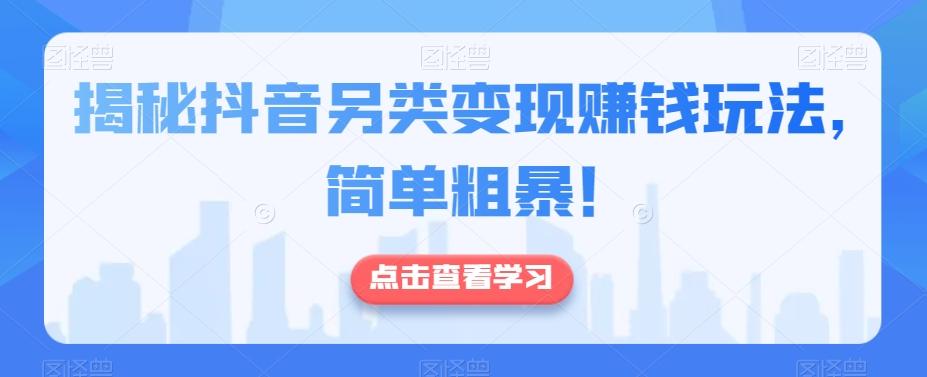揭秘抖音另类变现赚钱玩法，简单粗暴！-Xiaobei云