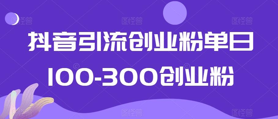 抖音引流创业粉单日100-300创业粉【揭秘】-Xiaobei云