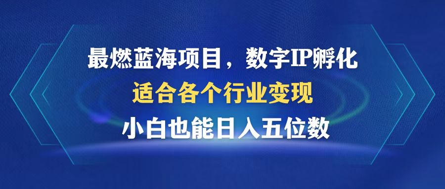 最燃蓝海项目  数字IP孵化  适合各个行业变现  小白也能日入5位数-Xiaobei云