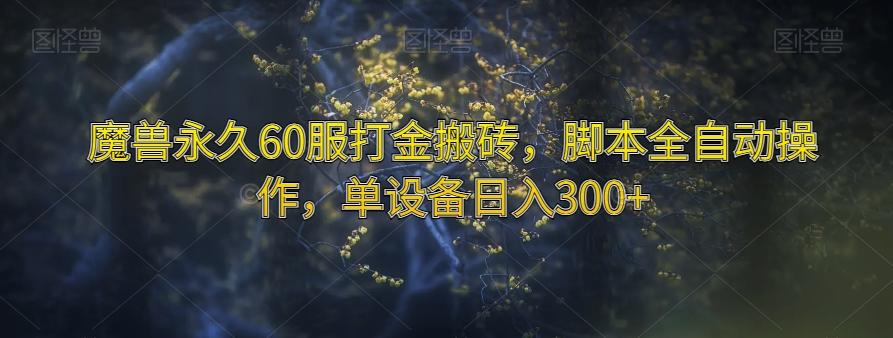魔兽永久60服打金搬砖，脚本全自动操作，单设备日入300+【揭秘】-Xiaobei云