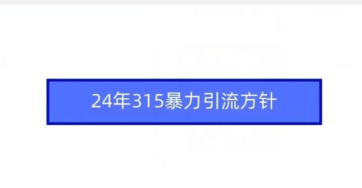 24年315暴力引流方针-Xiaobei云