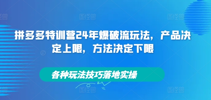 拼多多特训营24年爆破流玩法，产品决定上限，方法决定下限，各种玩法技巧落地实操-Xiaobei云