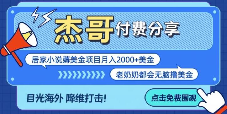 拆解海外撸美金项目月入2000美刀详细指导-Xiaobei云