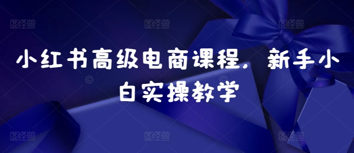 小红书高级电商课程，新手小白实操教学-Xiaobei云