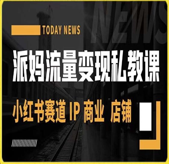 派妈流量变现私教课,小红书赛道IP 商业 店铺