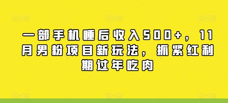 一部手机睡后收入500+，11月男粉项目新玩法，抓紧红利期过年吃肉-Xiaobei云