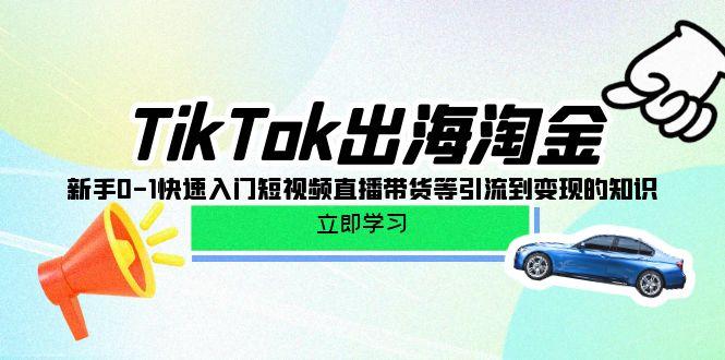 (10035期)TikTok-出海淘金，新手0-1快速入门短视频直播带货等引流到变现的知识-Xiaobei云