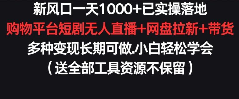 新风口一天1000+已实操落地购物平台短剧无人直播+网盘拉新+带货多种变现长期可做【揭秘】-Xiaobei云