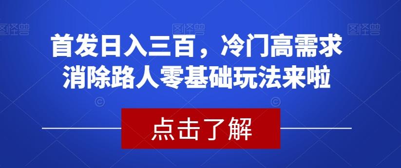 首发日入三百，冷门高需求消除路人零基础玩法来啦【揭秘】-Xiaobei云