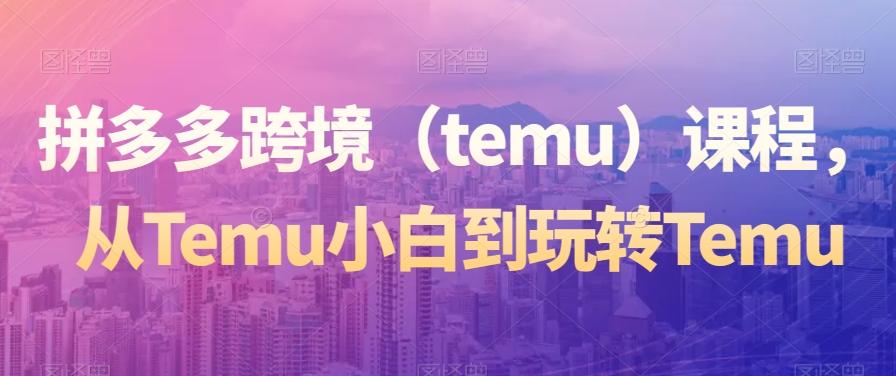 拼多多跨境（temu）课程，从Temu小白到玩转Temu-Xiaobei云