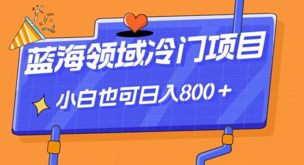 蓝海领域冷门赛道，一单39.9，日入800＋-Xiaobei云