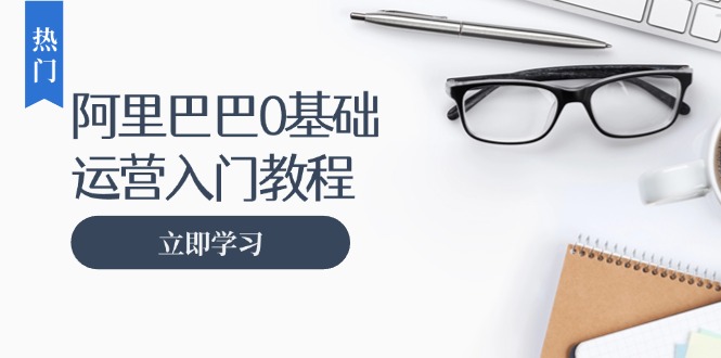 阿里巴巴运营零基础入门教程：涵盖开店、运营、推广，快速成为电商高手-Xiaobei云