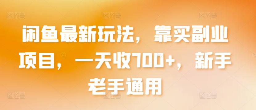 闲鱼最新玩法，靠买副业项目，一天收700+，新手老手通用【揭秘】-Xiaobei云