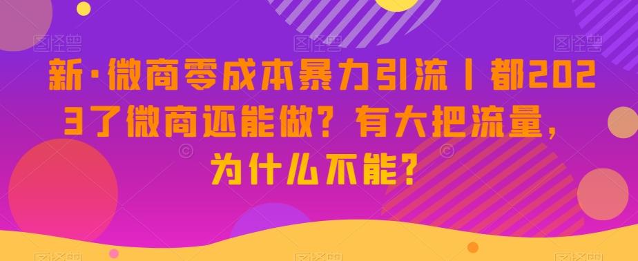 新·微商零成本暴力引流丨都2023了微商还能做？有大把流量，为什么不能？-Xiaobei云