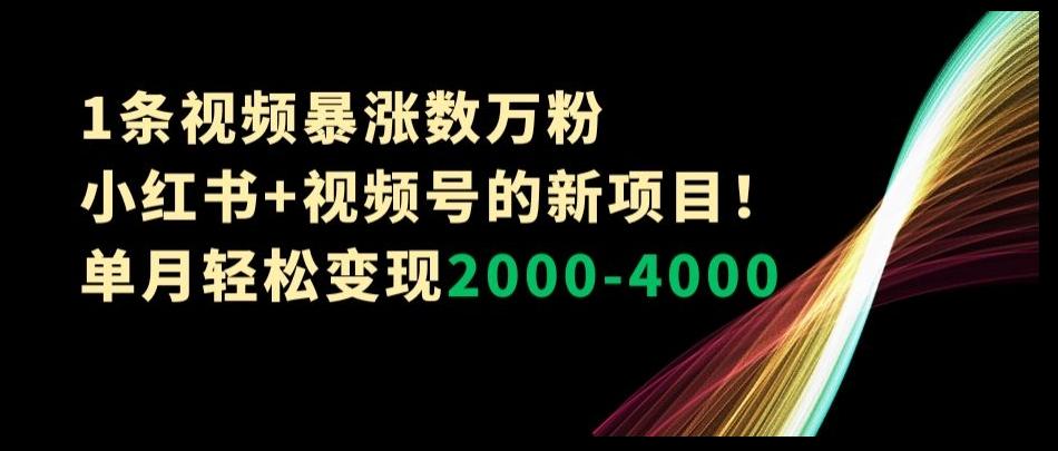 1条视频暴涨数万粉–小红书+视频号的新项目！单月轻松变现2000-4000【揭秘】-Xiaobei云