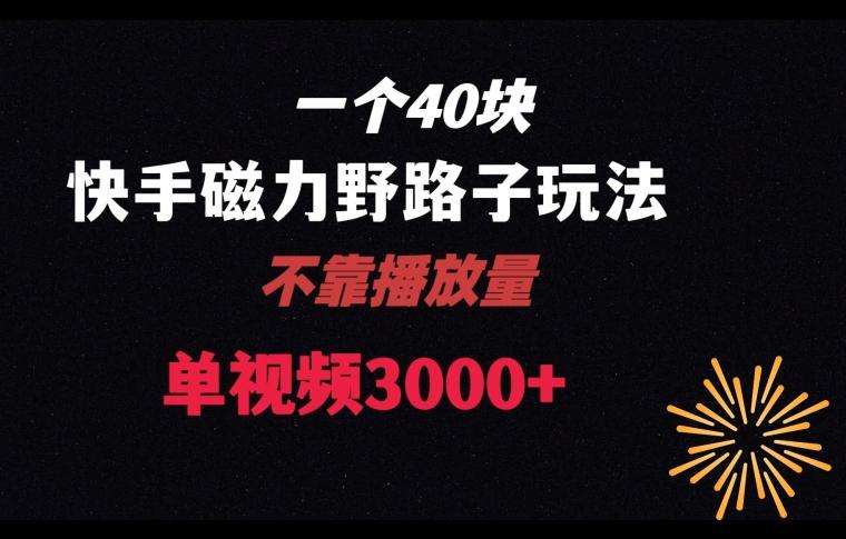 一个40块，快手联合美团磁力新玩法，无视机制野路子玩法，单视频收益4位数【揭秘】-Xiaobei云