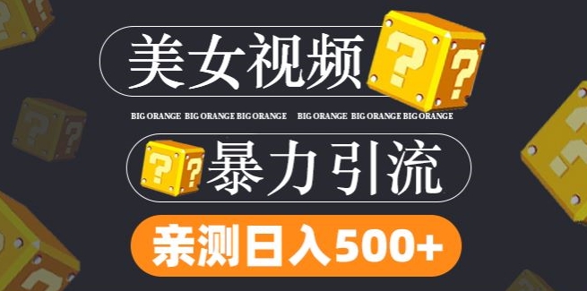 搬运tk美女视频全网分发，日引s粉300+，轻松变现，不限流量不封号【揭秘】-Xiaobei云