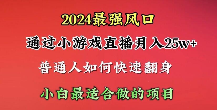 (10020期)2024年最强风口，通过小游戏直播月入25w+单日收益5000+小白最适合做的项目-Xiaobei云