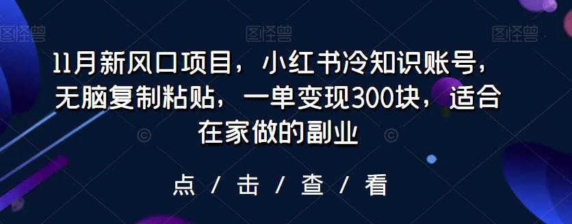 11月新风口项目，小红书冷知识账号，无脑复制粘贴，一单变现300块，适合在家做的副业-Xiaobei云