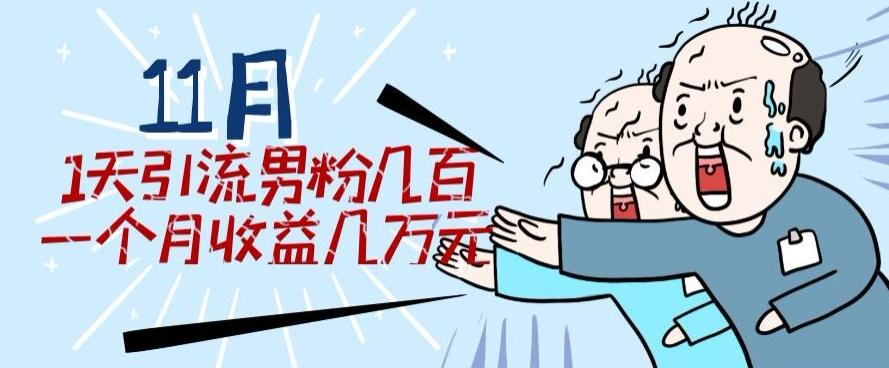11月最新每天引流男粉300+一个月收益几万元-Xiaobei云