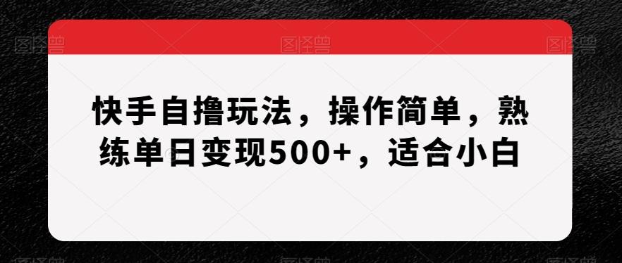 快手自撸玩法，操作简单，熟练单日变现500+，适合小白【揭秘】-Xiaobei云