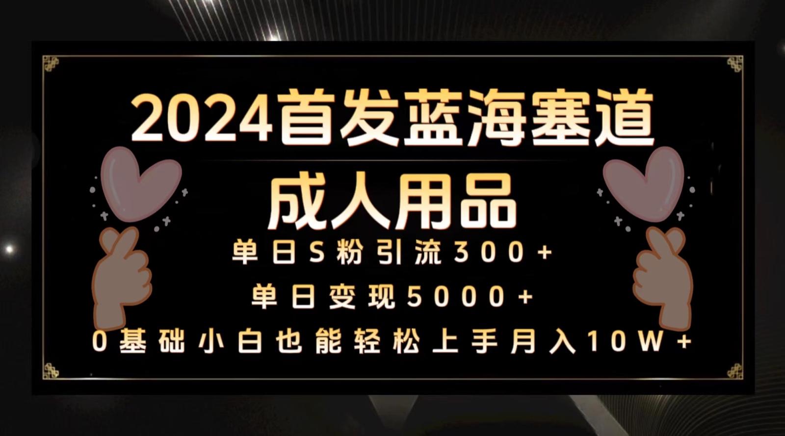 2024首发蓝海塞道成人用品,月入10W+保姆教程-Xiaobei云