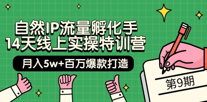 (9881期)自然IP流量孵化手 14天线上实操特训营【第9期】月入5w+百万爆款打造 (74节)-Xiaobei云