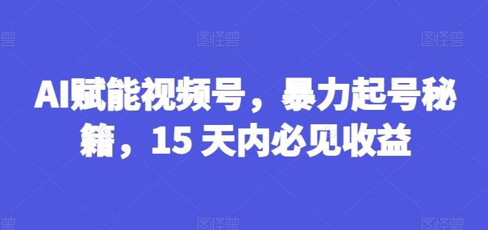 AI赋能视频号，暴力起号秘籍，15 天内必见收益【揭秘】-Xiaobei云
