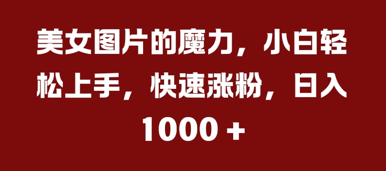 美女图片的魔力，小白轻松上手，快速涨粉，日入几张【揭秘】-Xiaobei云