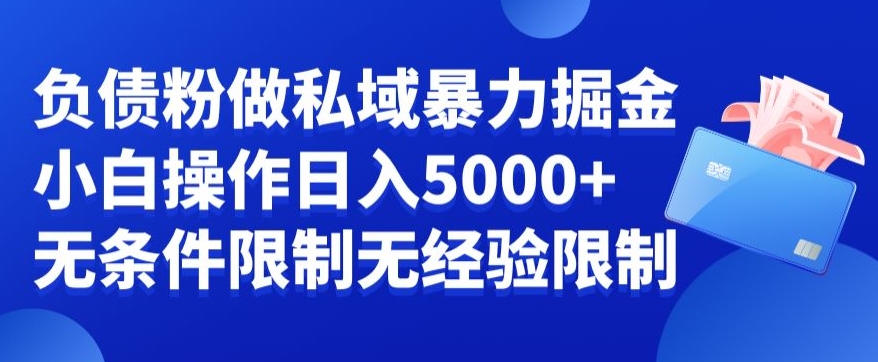 负债粉私域暴力掘金，小白操作入5000，无经验限制，无条件限制【揭秘】-Xiaobei云