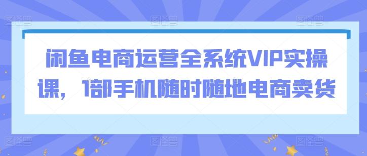 闲鱼电商运营全系统VIP实操课，1部手机随时随地电商卖货-Xiaobei云